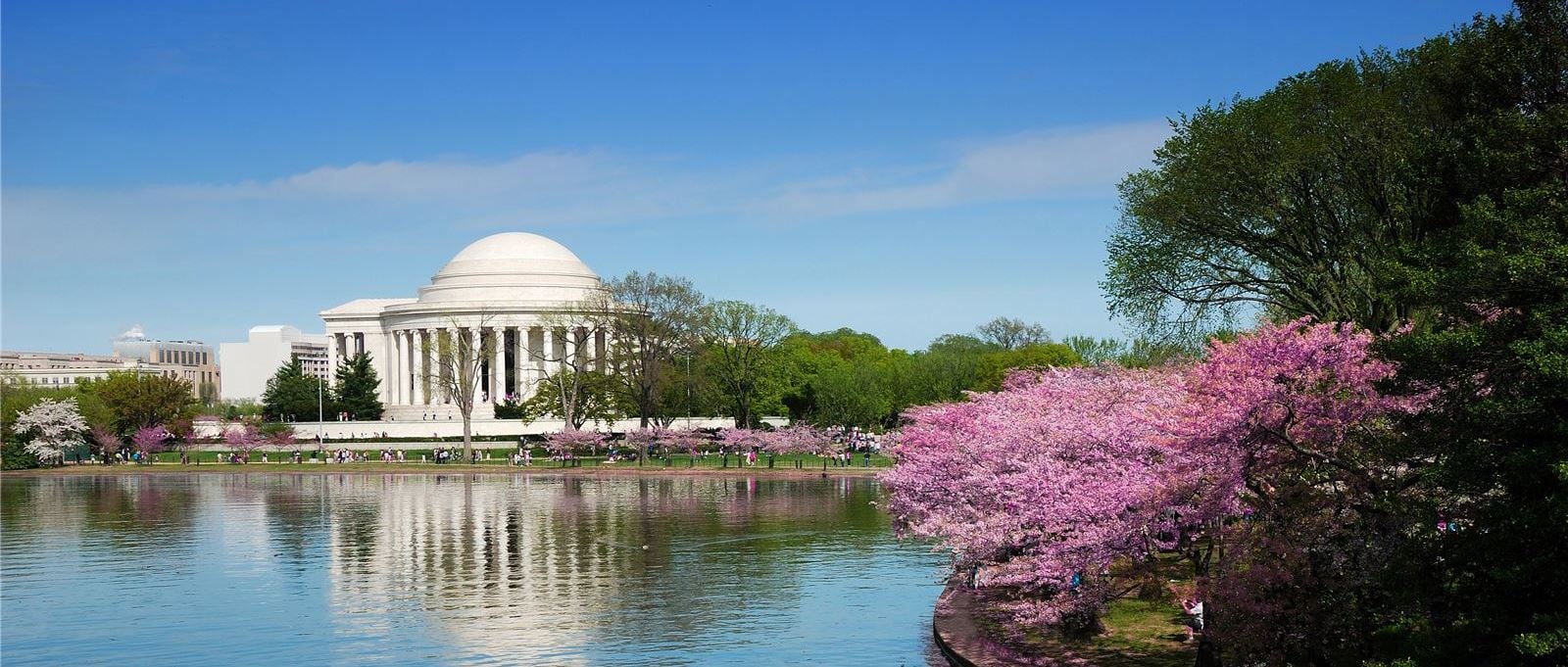 a large white building with a dome is shown across a body of water, with trees and a blue sky in the background