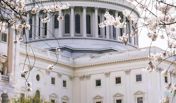 A white building with a dome and columns, surrounded by blooming trees.